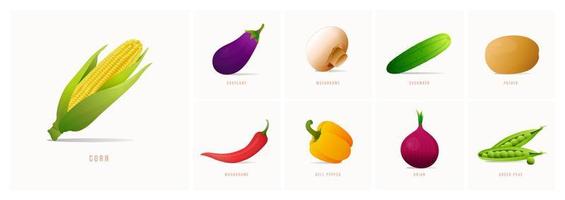 iconos de verduras vectoriales establecidos en estilo de dibujos animados. colección de productos agrícolas para el menú del restaurante, etiqueta de mercado. vector