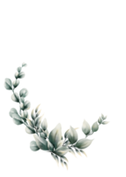 Aquarell Eukalyptusblatt png