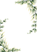 vattenfärg eukalyptus blad ram png