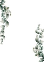 marco de hoja de eucalipto acuarela png