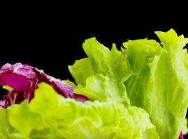 fresh green salad photo