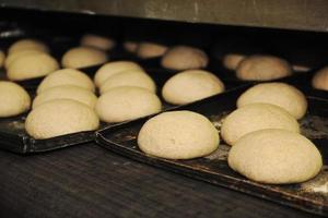 bread factory production photo