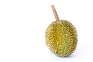 durian como rey de la fruta en tailandia. tiene un olor fuerte y una corteza cubierta de espinas. foto