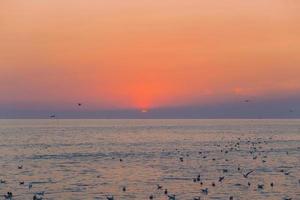 Sunset and sea view in the evening while seagulls fly on surface of sea. photo