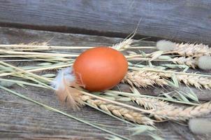 one brown chicken egg lies on feathers and ears of wheat, rye photo