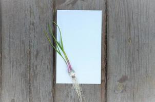 garlic and garlic cloves on a white sheet with space for writing on a wooden background photo