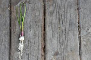 ajo y dientes de ajo sobre una sábana blanca con espacio para escribir sobre un fondo de madera foto