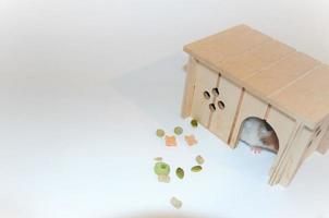 a house for a hamster or mouse on a light background. A hamster in a house, and next to it food photo