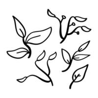 hand drawn leaf icons in doodle style vector