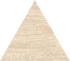 vuoto triangolo di legno cartello png