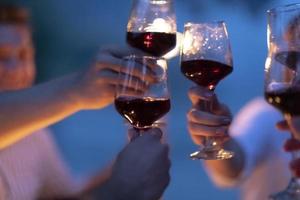 amigos brindando con una copa de vino tinto mientras hacen un picnic cena francesa al aire libre
