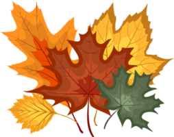 hojas de otoño cayendo