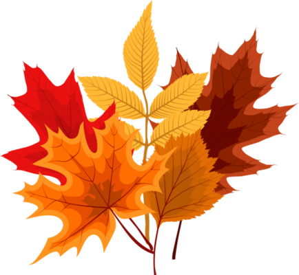 Fall Leaves PNGs for Free Download