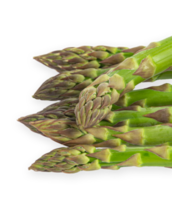 vegetarischer frischer grüner Spargel. Gemüse ausgeschnitten png