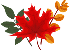 chute des feuilles d'automne png