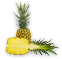 Piña madura jugosa amarilla cortada aislada png