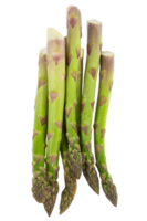 asperges vertes fraîches végétariennes. légumes découpés png