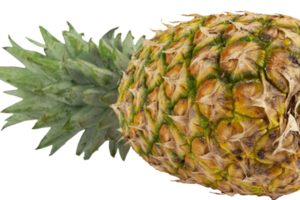 ananas mûr juteux jaune isolé découpé png