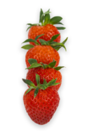 Four Red fresh strawberry with green leaf cut out png