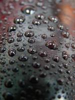 vista de gotas de rocío foto