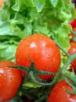 tomates rojos frescos foto