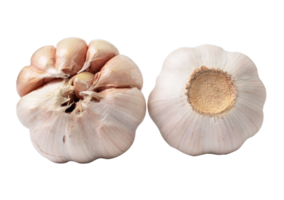 Beautiful garlic isolated on white background. with clipping path. png