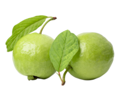 Fresh guava with leaf isolated on white background. with clipping path png