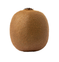 Green kiwi  isolated on white background. with clipping path png