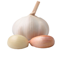 Beautiful garlic isolated on white background. with clipping path.