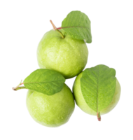 Fresh guava with leaf isolated on white background. with clipping path png