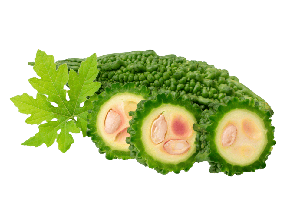 Melon PNGs for Free Download