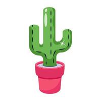 A modern cactus icon in flat design vector