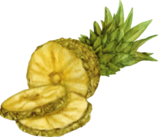 vattenfärg ananas klämma konst png