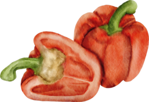 imágenes prediseñadas de pimiento morrón acuarela png