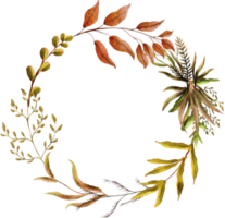 aquarellblumenrahmenkreis png