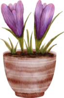 clipart de flor roxa em aquarela png