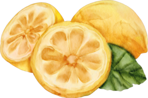 clipart de limão em aquarela png