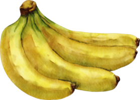 clipart de banana em aquarela png