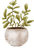 clipart de planta de casa em aquarela png