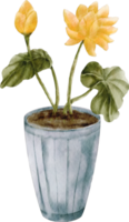 Aquarell gelbe Blume ClipArt png