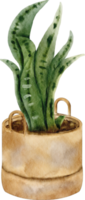 clipart de planta de casa de acuarela png