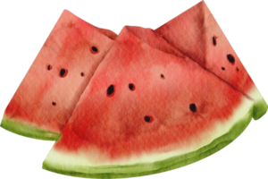 Aquarell Wassermelone ClipArt png