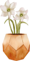 Aquarell Blume im Topf ClipArt png