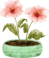 watercolor pink flower clip art png