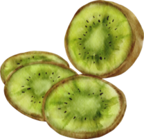 vattenfärg kiwi klämma konst png