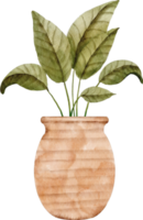 clipart de planta de casa em aquarela png