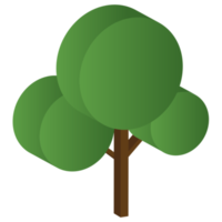 Tree or plant, Isometric plant and trees. png
