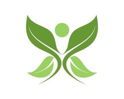 Leaf with butterfly green design vector