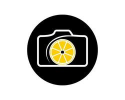 Camera with lemon shape inside vector