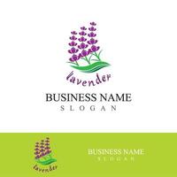 Fresh lavender flower logo vector